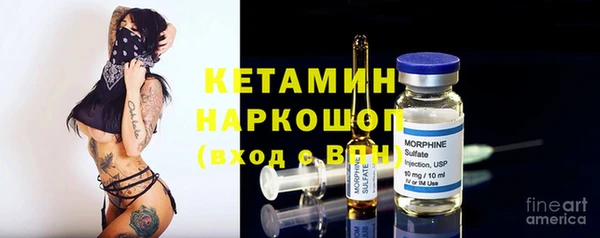 сатива Россошь