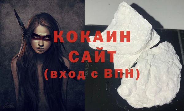 шишки Ростов