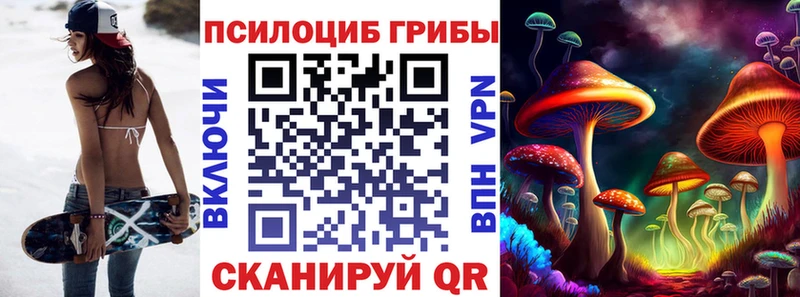 закладка  Шарыпово  Псилоцибиновые грибы Cubensis 